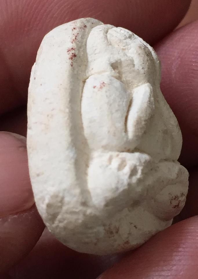 ปิดตาหลังยันต์มิ วัดประสาท เนื้อขาว ปี06