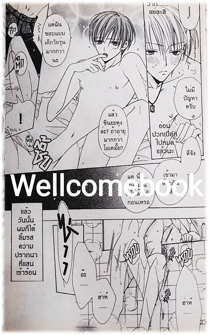 Immoral Lovesickness เล่มเดียวจบ ~MInami Haruka~