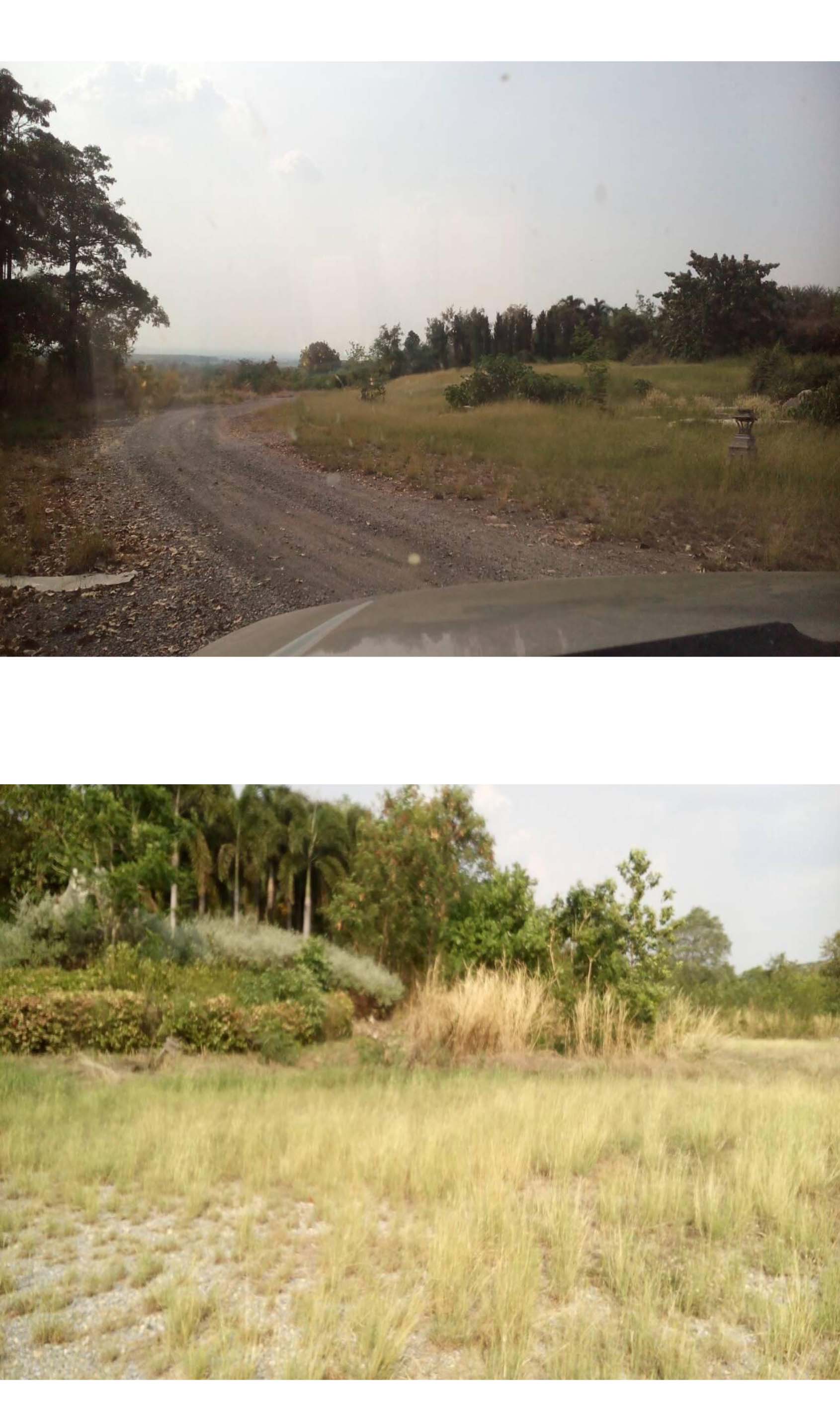 ขาย-ที่ดินเปล่า จำนวน1000ไร่ รีสอร์ทภูฟ้าใส อำเภอวังม่วง จังหวัดสระบุรี