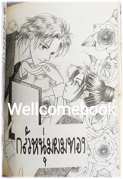 Sakura ซากุระ 2 เล่มเดียวจบ