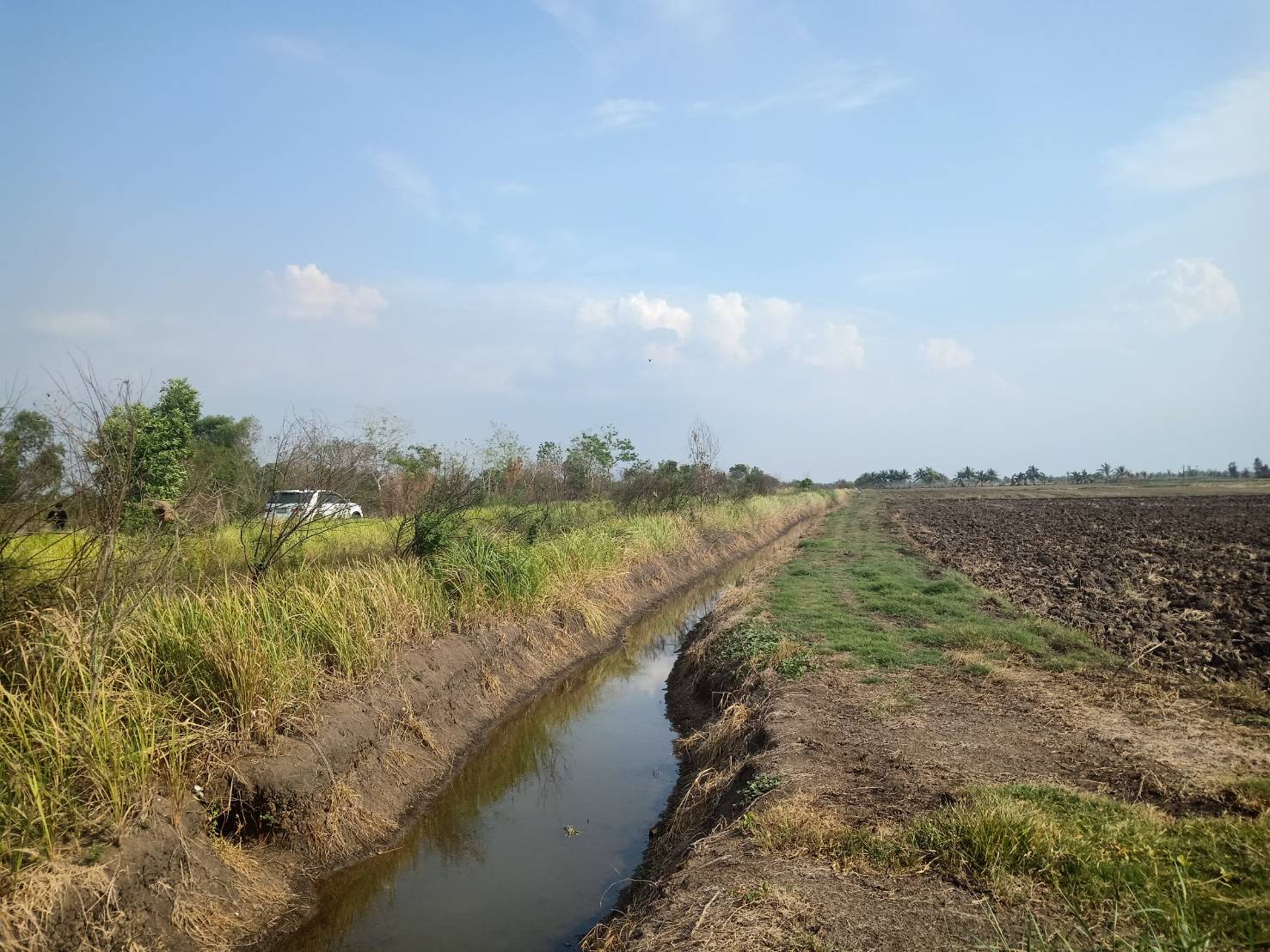 ขาย-ที่ดินจัดสรร จำนวน100ตรว. อยู่หลังอยู่หลังมหาลัยประสานมิตร ต.ศีรษะกระบือ อ.องครักษ์ จ.นครนายก