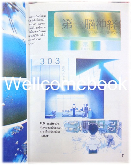 รวมชุด "THE END OF EVANGELION จุติทูตสวรรค์วันสิ้นโลก" 2 เล่มจบ