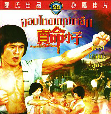 จอมโหดมนุษย์เหล็ก The Magnificent Ruffians 1979