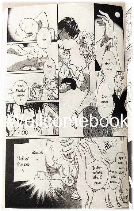 น้องเหมียวแห่งชานัวร์ เล่มเดียวจบ ~Saito Chiho~