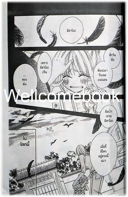 รวมชุด "Black Bird 18 เล่มจบ + นิยาย Black Bird -Missing- เล่มเดียวจบ" ~Sakurakouji Kanoko~