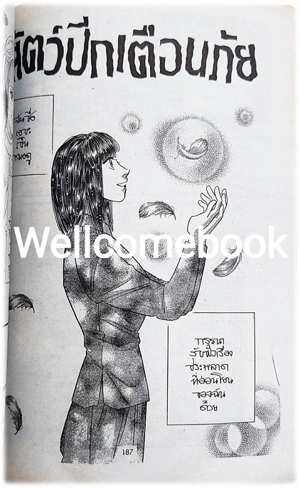 ก๊อก ก๊อก ก๊อก ใครอยู่ข้างหลัง? 3 เล่มเดียวจบ