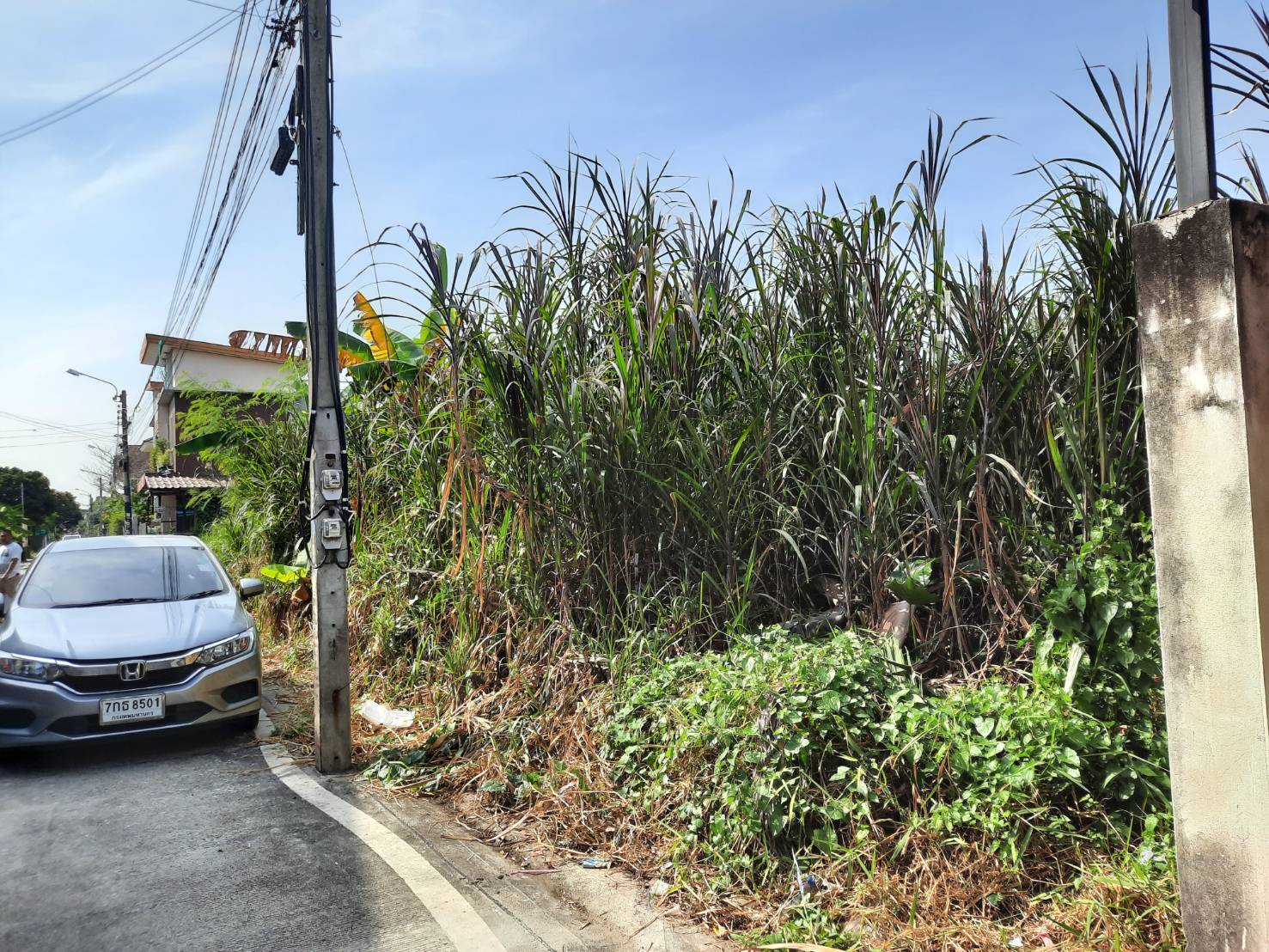 ขาย-ที่ดินเปล่า2แปลง แบ่งขายแปลงละ 50 ตรว. ต.บางกร่าง อ.เมือง จ.นนทบุรี