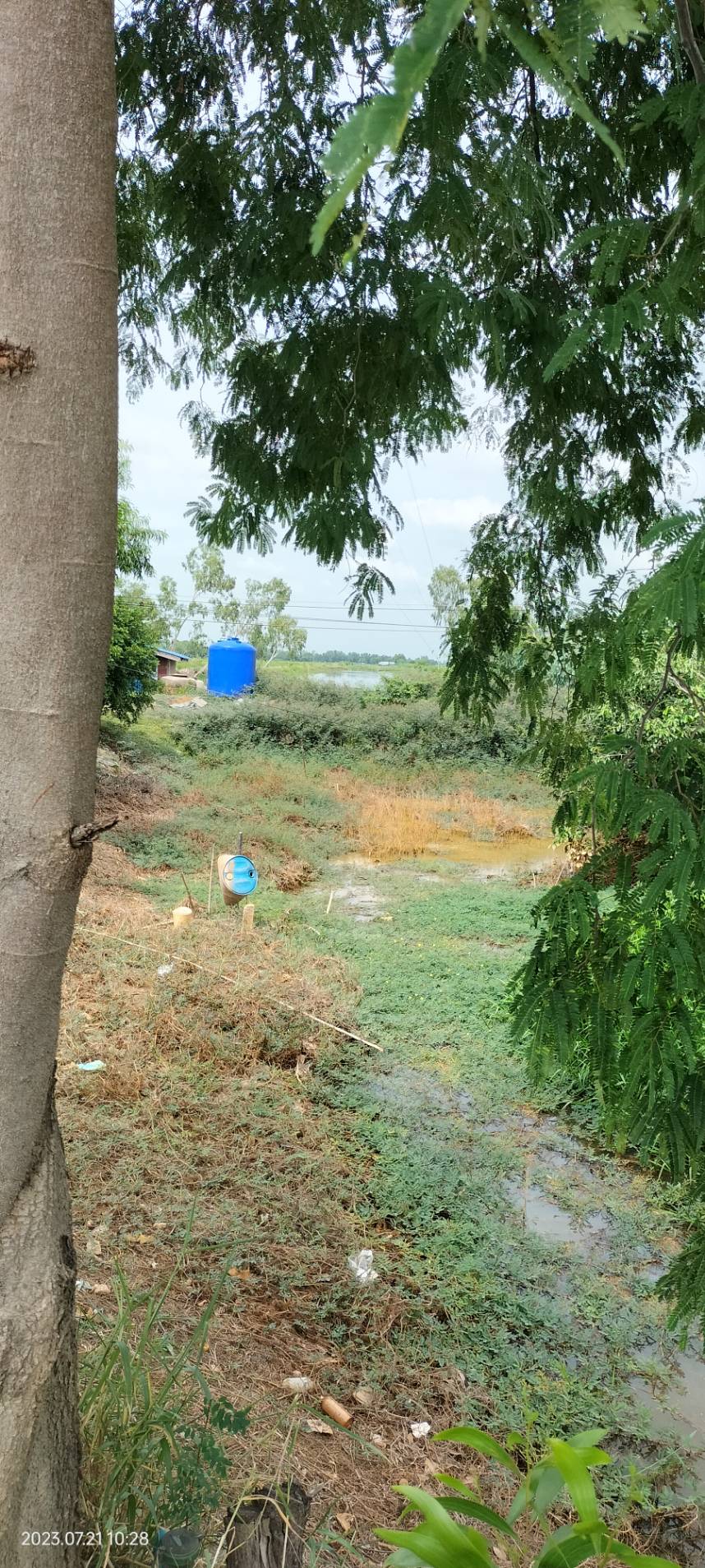 ขายที่ดินเปล่า 38ไร่ 3งาน68ตารางวา ต.ดอนยอ อ.เมืองนครนายก จ.นครนายก