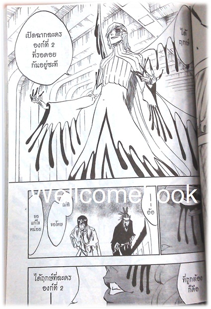 BLEACH เทพมรณะ (พิมพ์แรก) เล่ม33 ~Tite Kubo~