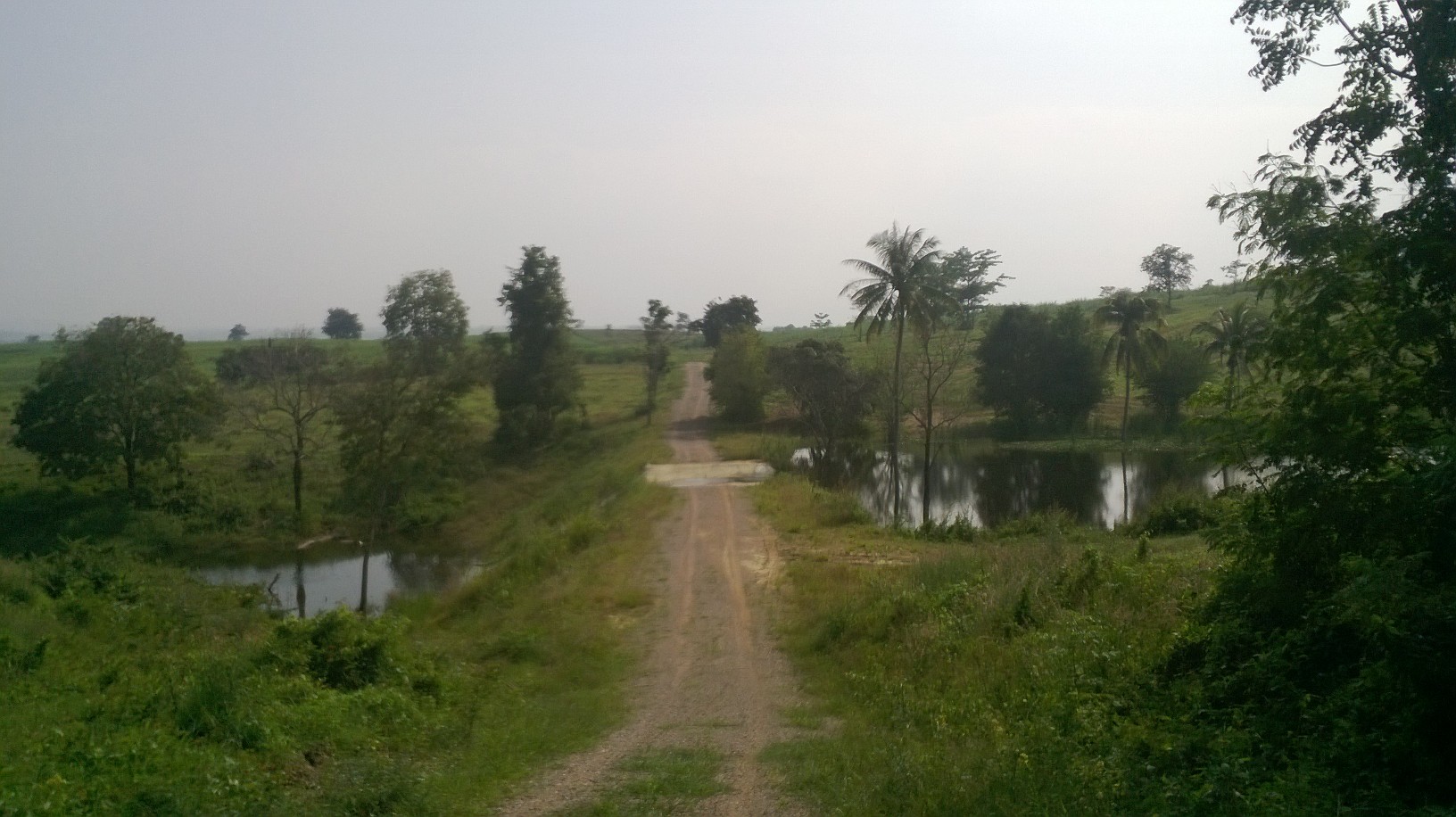 ที่ดินเปล่า230ไร่ แบ่งขายเป็นแปลงต.วังกะทะ(หมูสี )ติดวังน้ำเขียว นครราชสีมา