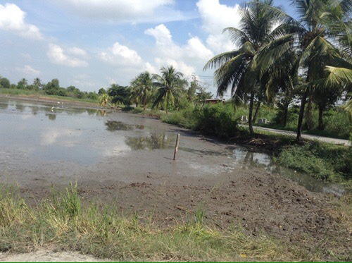 ที่ดินเปล่า จำนวน1ไร่ ติดถนน 2 ด้าน ถ.ทับยาว ลาดกระบัง ราคาไร่ละ 3,500,000 บาท