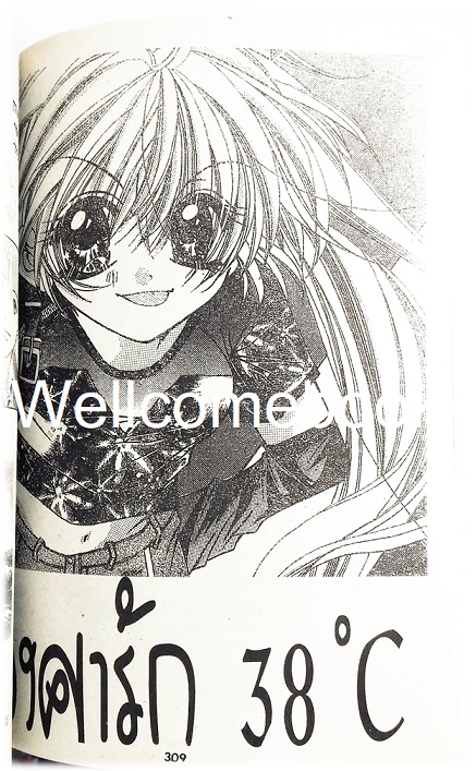 ค้างคาวฟันหลอ เล่มเดียวจบ