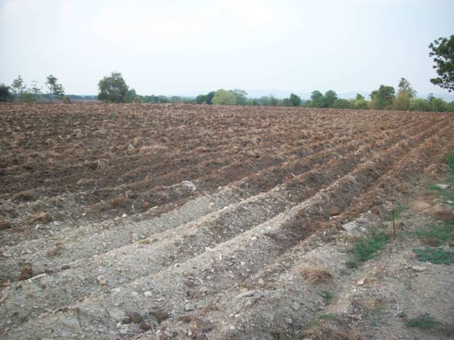 ขาย-ที่ดินเปล่า 300 ไร่ แปลงใหญ่ เจ้าของเดียว ตำบลหินซ้อน อำเภอแก่งคอย จังหวัดสระบุรี