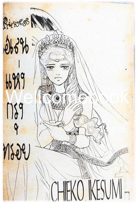 XPrincess พริ้นเซส 3 เล่มเดียวจบ