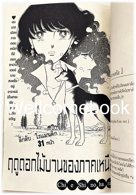 30th PIECE : Ay ชิโนฮาระ จิเอะ ฉลองครบรอบ 30 ปี ~Shinohara chie~
