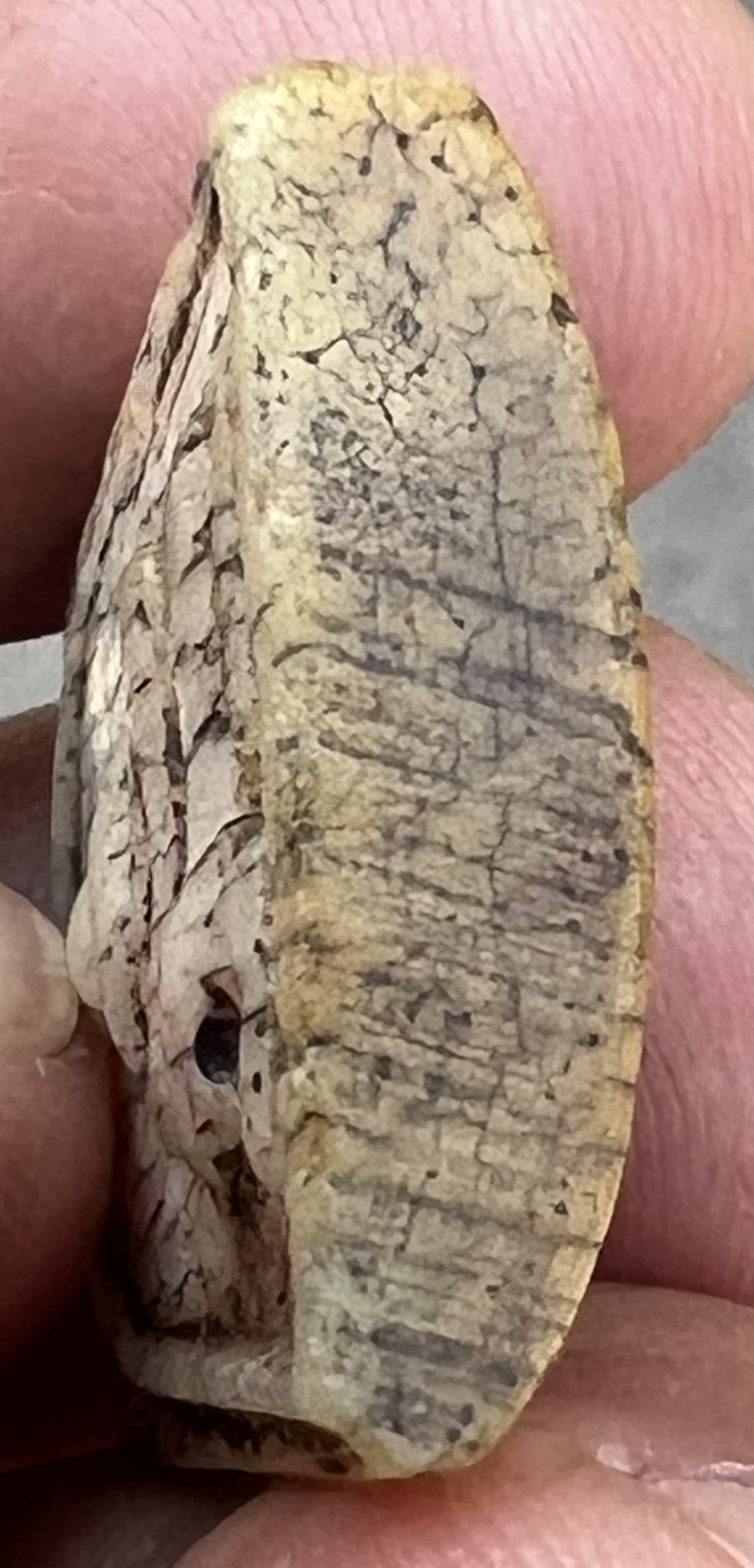 สมเด็จนั่งสิงห์ ง.แกะ เก่าๆๆๆๆๆๆ