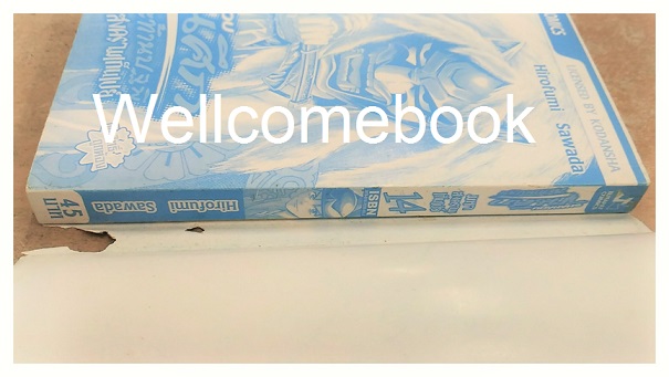 ชานาโอ ขุนศึกสะท้านปฐพี มหาสงครามเก็นเปย์ เล่ม 14 ~Hirofumo Sawada~