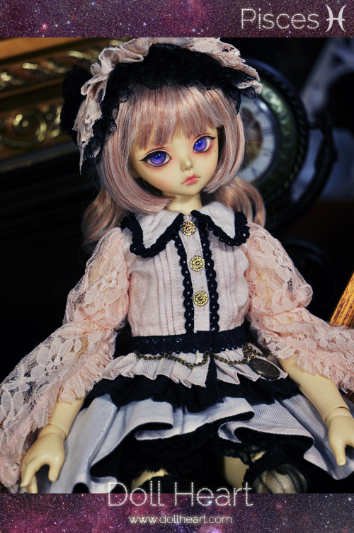 [SALE -50%] MSD MD-213