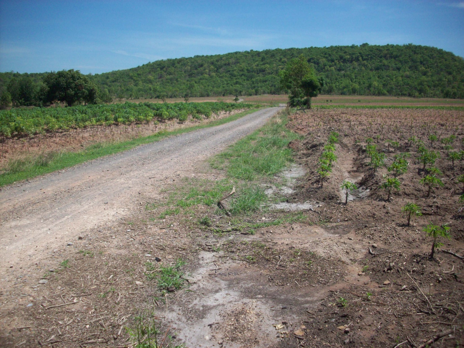 ขาย - ที่ดิน 400 ไร่ พัฒนานิคม ลพบุรี (แปลงที่1)