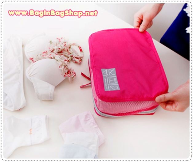 Smart System Travel Mesh Bag (Underwear)