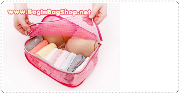 Smart System Travel Mesh Bag (Underwear)