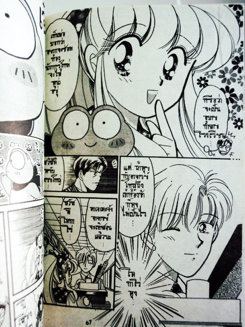 ปิ๊งๆ นินจาสาว เล่มเดียวจบ ~Nakano Yayoi~