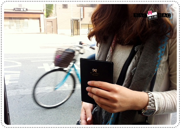 Ribbon Passport Holder