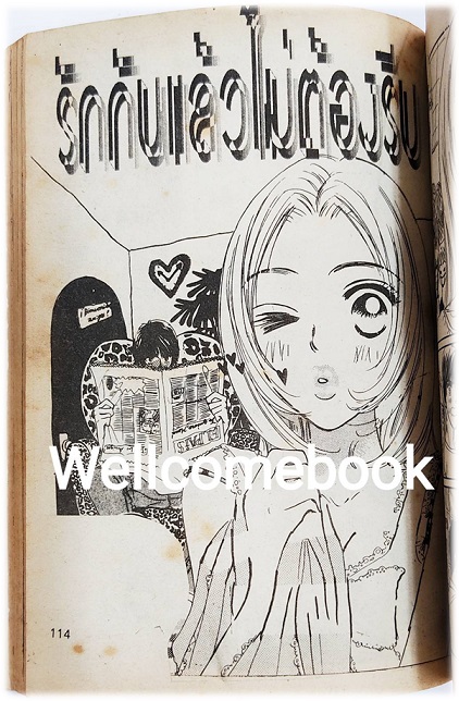 ผีแม่สื่อเพื่อนซี้ เล่มเดียวจบ