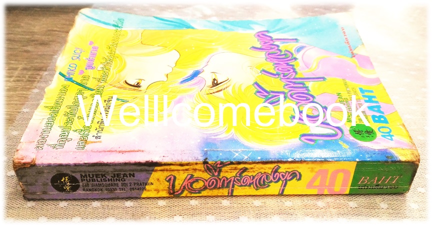 บอดี้การ์ดหลงยุค เล่มเดียวจบ ~Emiko Sugi~