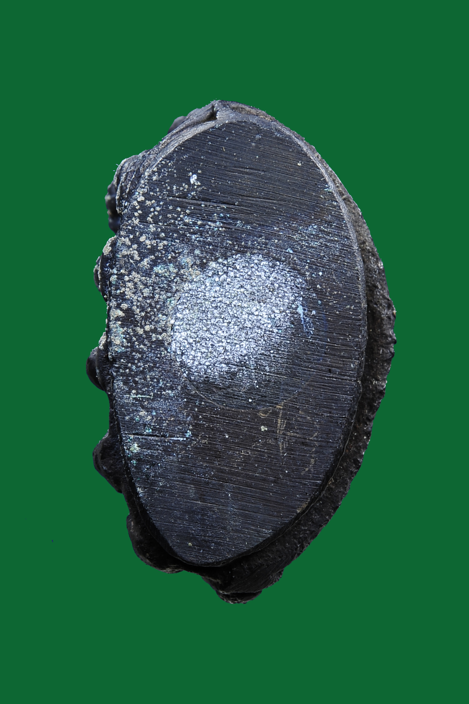 หลวงพ่อคง วัดวังสรรพรส