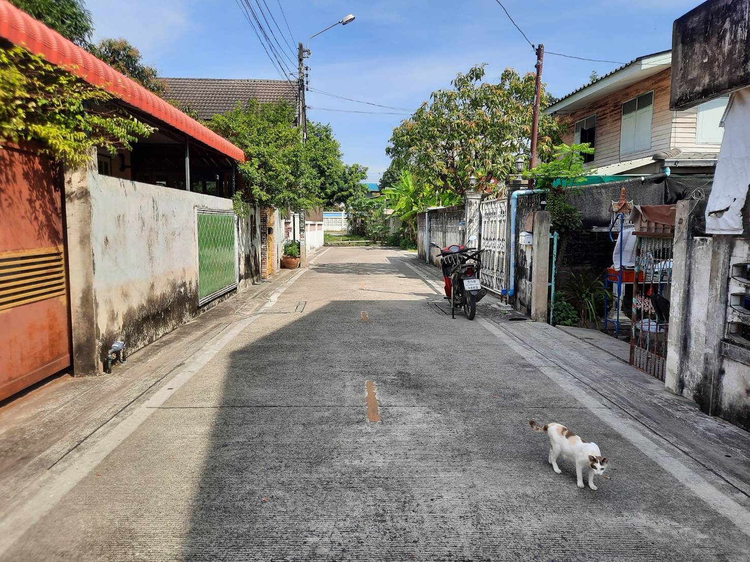 ขาย-ที่ดินเปล่า2แปลง แบ่งขายแปลงละ 50 ตรว. ต.บางกร่าง อ.เมือง จ.นนทบุรี