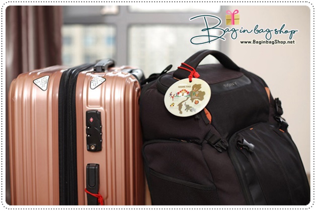 City Guide Luggage Tag
