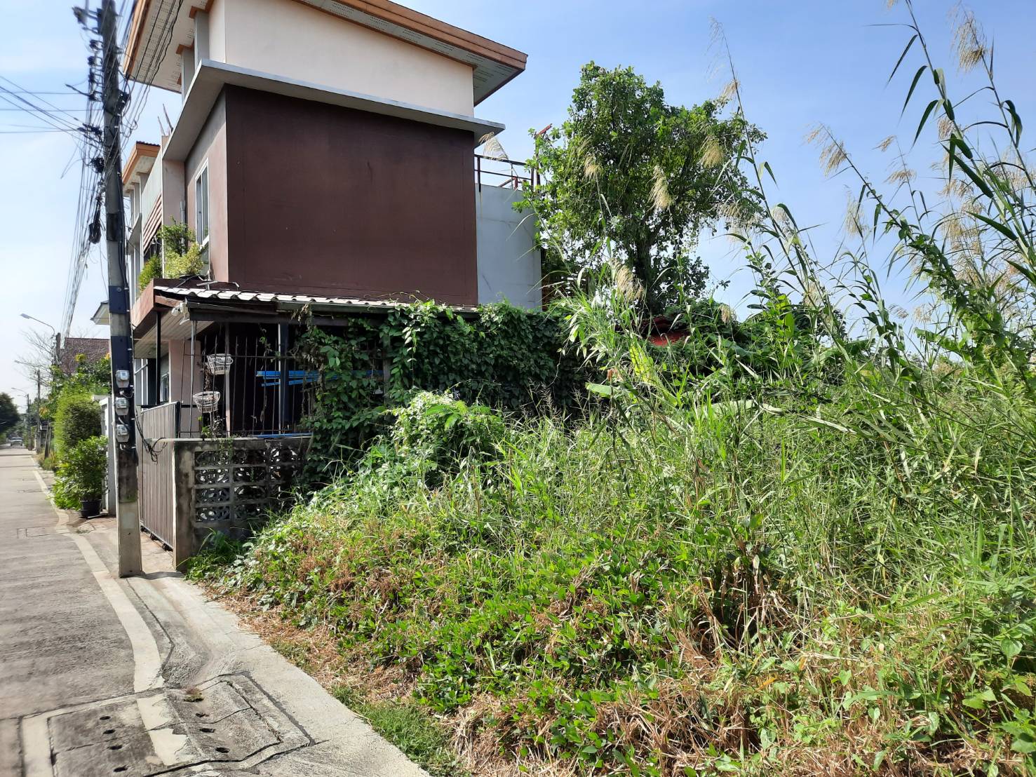 ขาย-ที่ดินเปล่า2แปลง แบ่งขายแปลงละ 50 ตรว. ต.บางกร่าง อ.เมือง จ.นนทบุรี