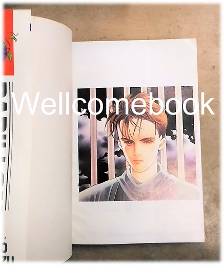 ไฟล์ภาพ "PAPILLON" เล่มเดียวจบ ~Shimizu Reiko~