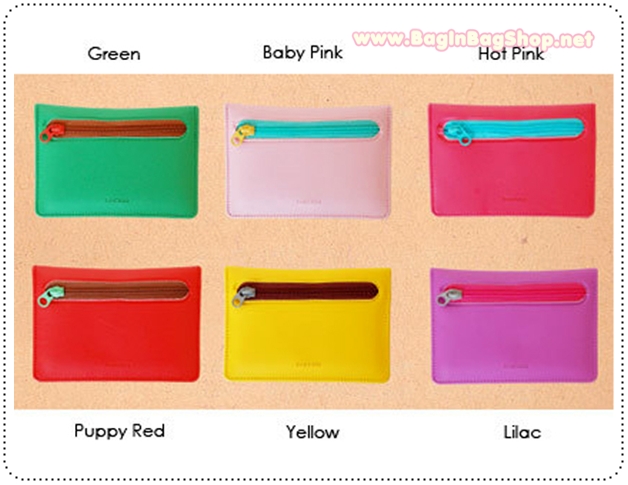 Rainbow Card Case