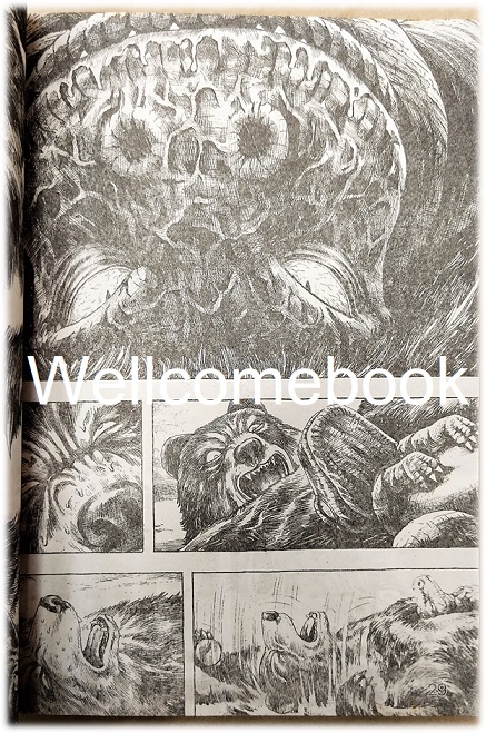 รวมชุด " GON ก๊องไอ้แสบดึกดำบรรพ์ ปกอ่อน BB" 3 เล่มจบ ~Tanaka Masashi~