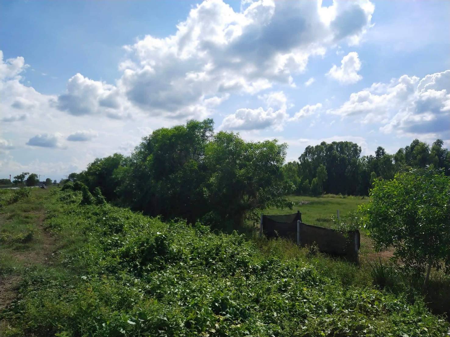 ขาย-ที่ดินเปล่าจำนวน 2 ไร่ 2 งาน 70 ตารางวาตำบลดอนยออำเภอเมืองนครนายกจังหวัดนครนายก