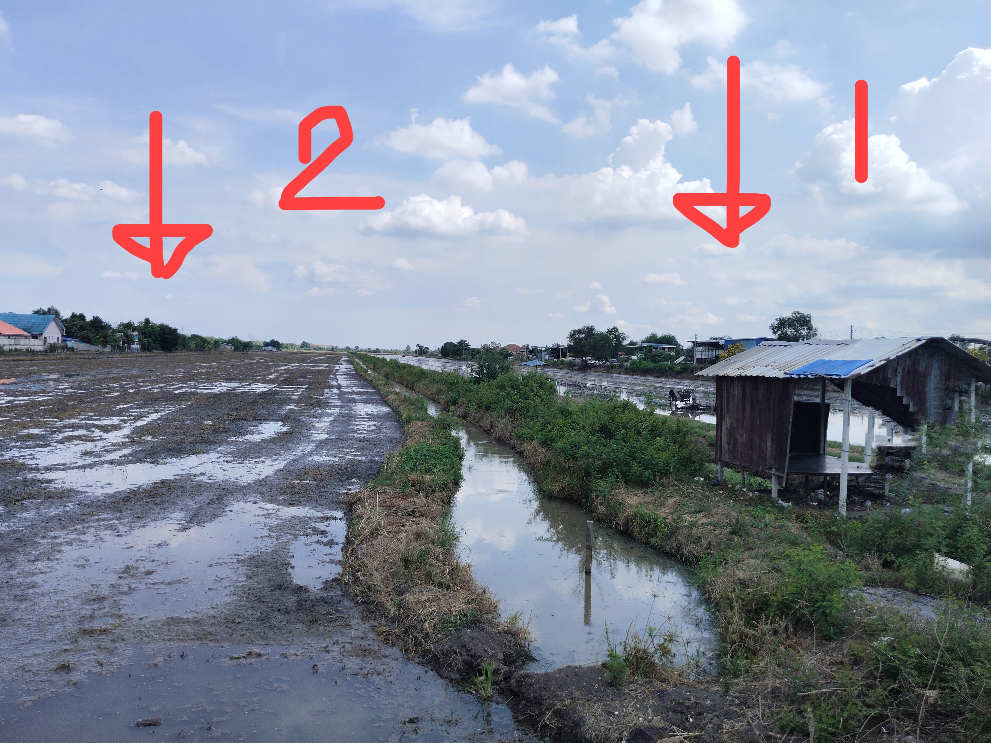 ที่ดินเปล่าสวยสีม่วงเข้ม จำนวน 99 ไร่ ใกล้อบต.ลำลูกกา อ.ลำลูกา จ.ปทุมธานีคลอง8