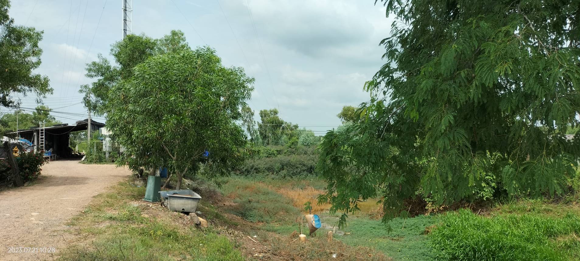 ขายที่ดินเปล่า 38ไร่ 3งาน68ตารางวา ต.ดอนยอ อ.เมืองนครนายก จ.นครนายก