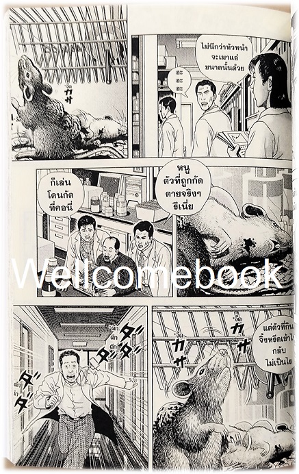 Xรวมชุด "Boxset Happy People แฮปปี้พีเพิล 10 เล่มจบ + ภาคชิน 3 เล่มจบ+ภาคมังกี้พีเพิล 5 เล่มจบ" ~Shaku Eishou~