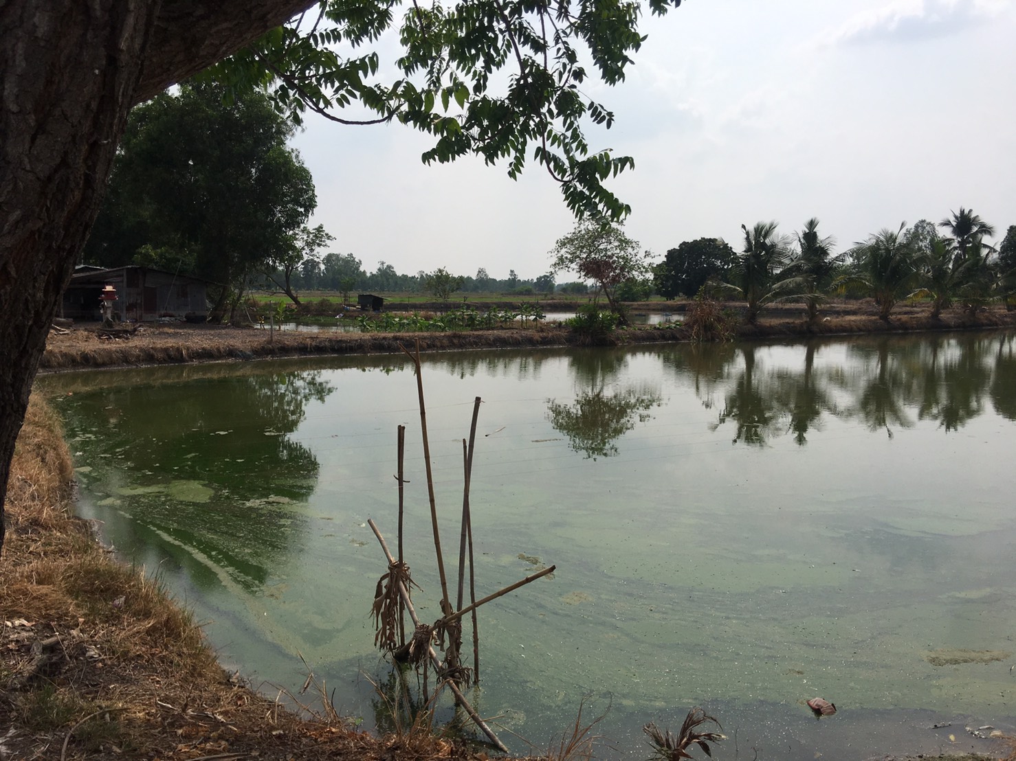 ขาย-ที่ดินเปล่า 30ไร่ ต.ศรีจุฬา อ.เมือง จ.นครนายก