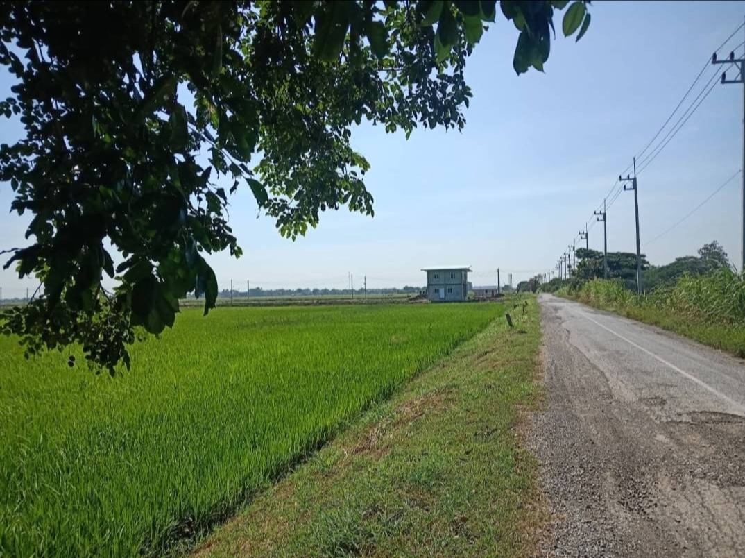ขาย-ที่ดินเปล่า16ไร่ ต.เสาธงเก่า อ.บางปะหัน จ.อยุธยา