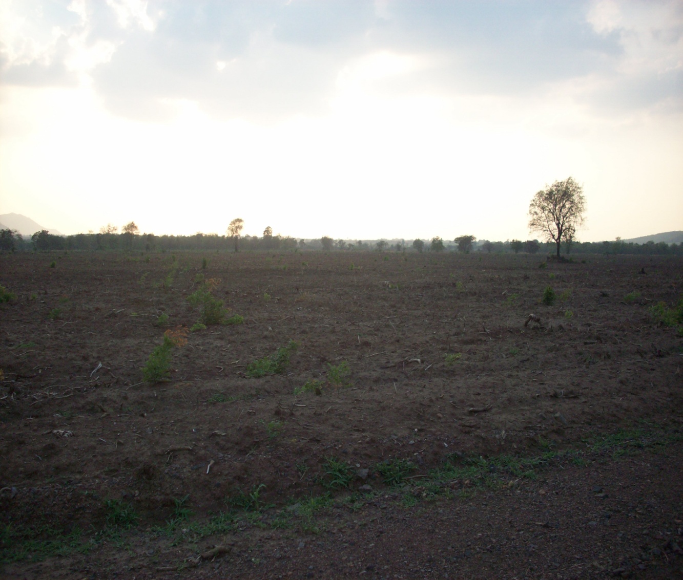 ขาย-ที่ดินเปล่า 300 ไร่ แปลงใหญ่ เจ้าของเดียว ตำบลหินซ้อน อำเภอแก่งคอย จังหวัดสระบุรี