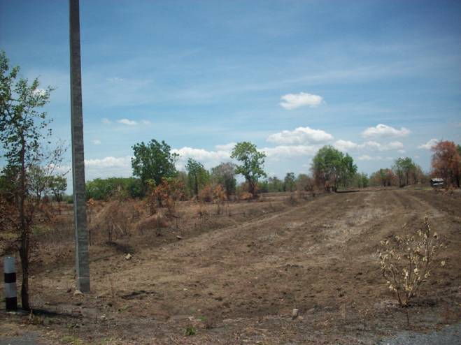 ที่ดินเปล่า จำนวน180ไร่ต.ม่วงคอม อ.พัฒนานิคม จ.ลพบุรี