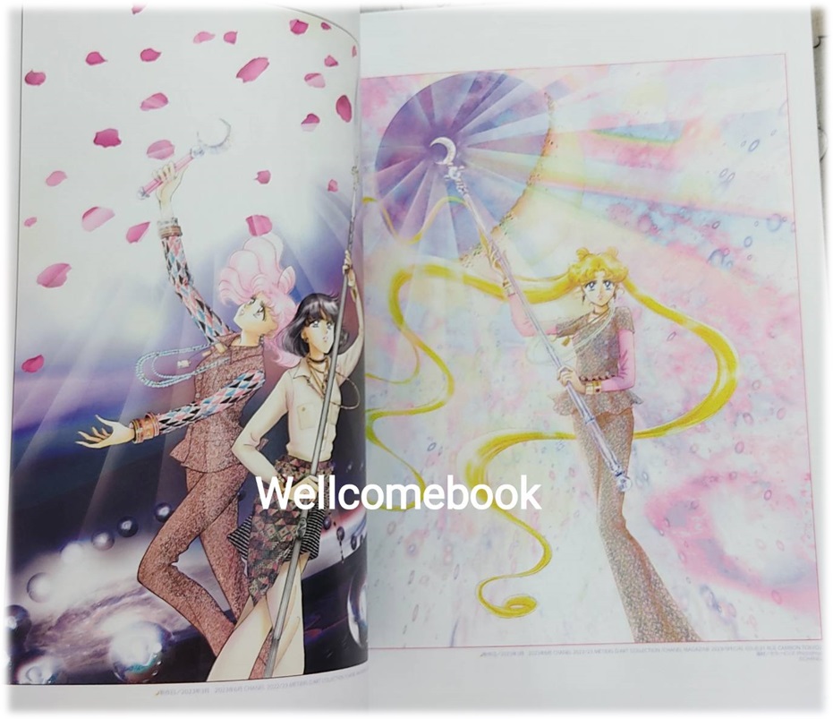 ARTWORK Sailor Moon 1991〜2023 ~Takeuchi Naoko~