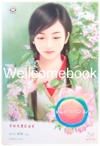 หน้ากากลวง เล่มเดียวจบ ~เจี๋ยเกิ่ง~