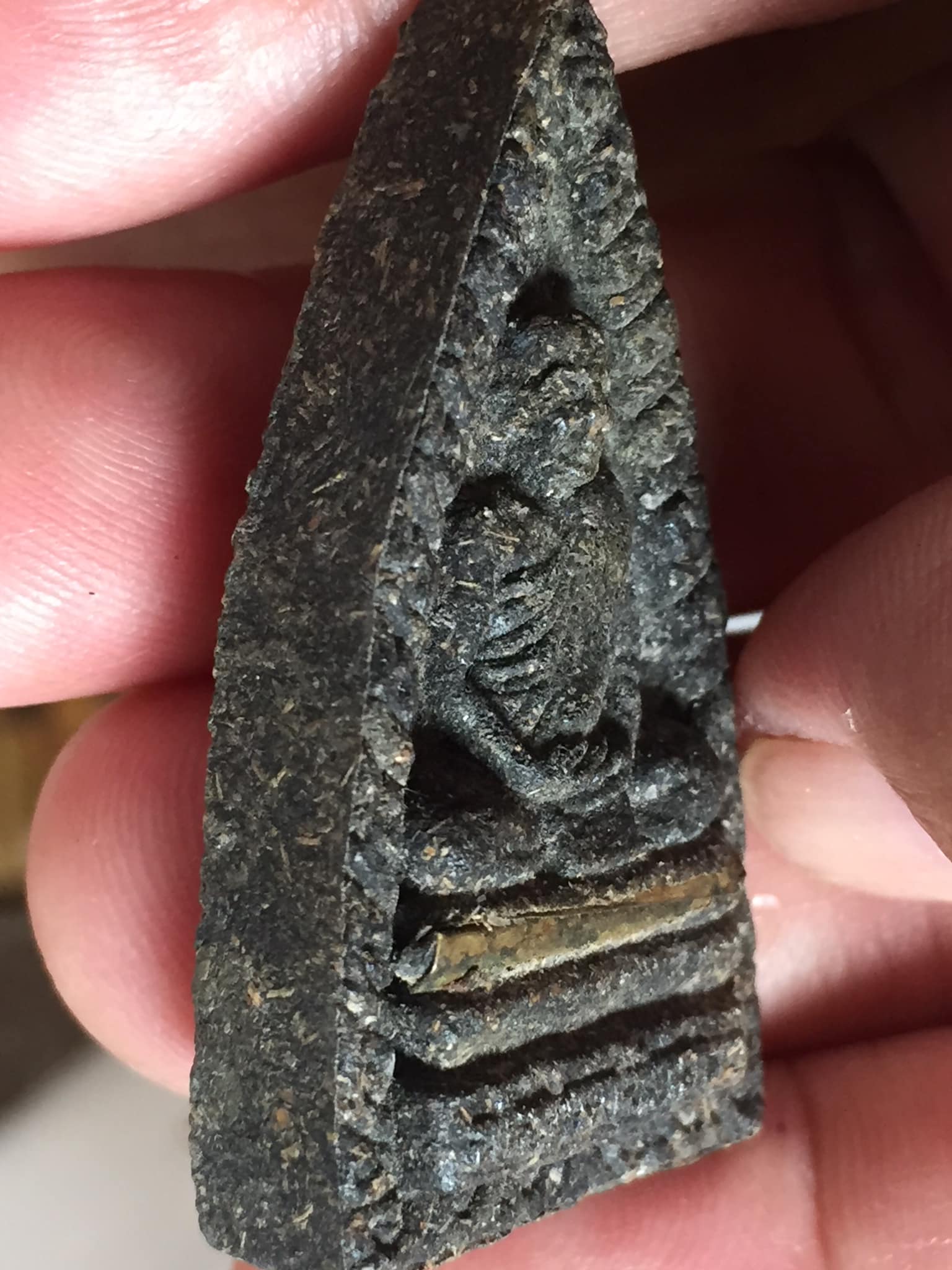 พระเนื้อว่าน ฝังตะกรุด อาจารย์เอียดดำ หรือหลวงพ่อเอียดดำ วัดศาลาไพ