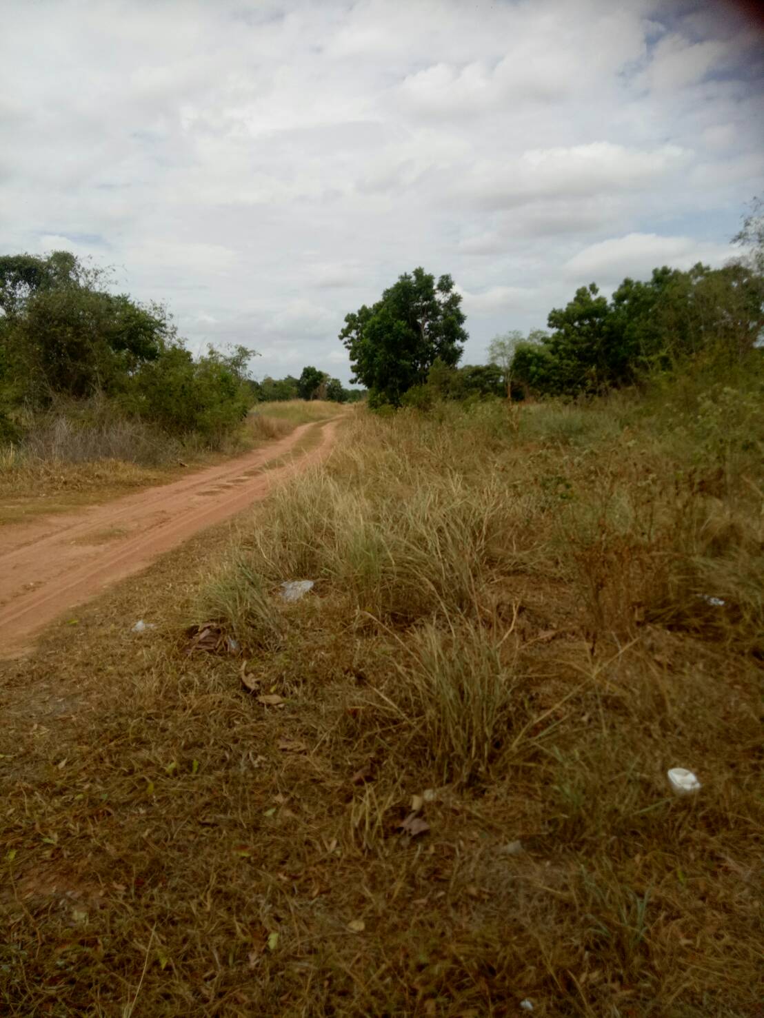 ขาย-ที่ดินเปล่า จำนวน2500ไร่ ถ กบินทร์บุรี-ปักธงชัย(304)ต.งิ้ว อ.ปักธงชัย จ.นครราชสีมา