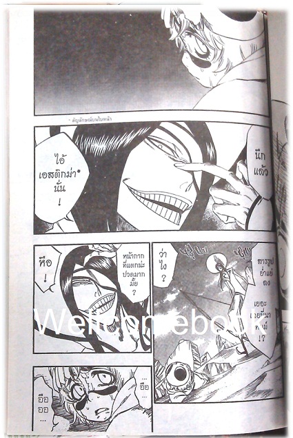 BLEACH เทพมรณะ (พิมพ์แรก) เล่ม33 ~Tite Kubo~