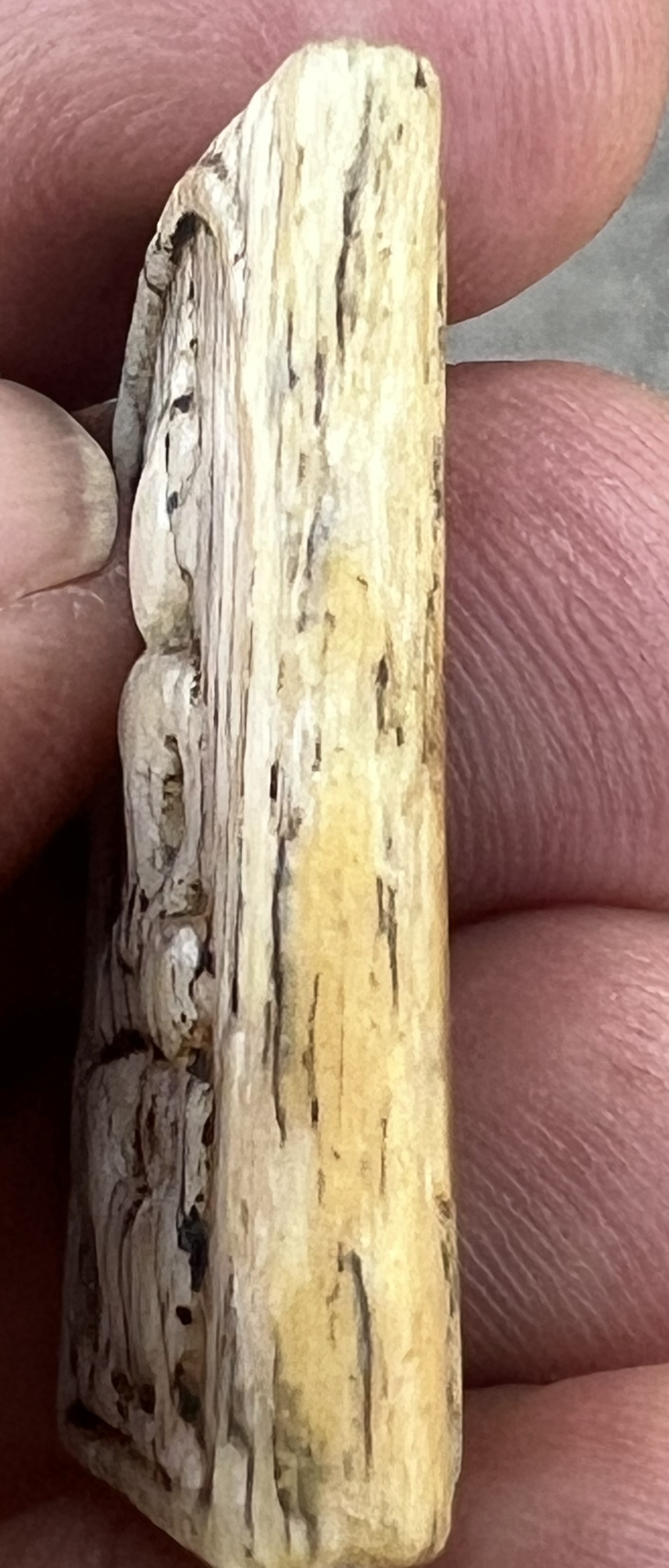 สมเด็จนั่งสิงห์ ง.แกะ เก่าๆๆๆๆๆๆ